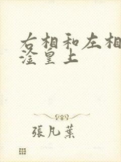 右相和左相一起淦皇上封面