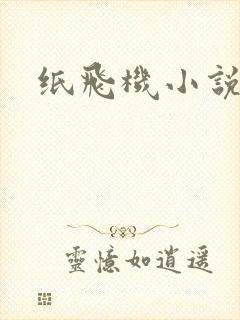 纸飞机小说