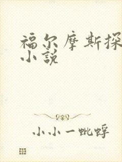 福尔摩斯探案集小说