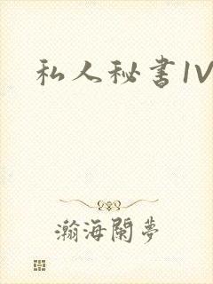 私人秘书1V1