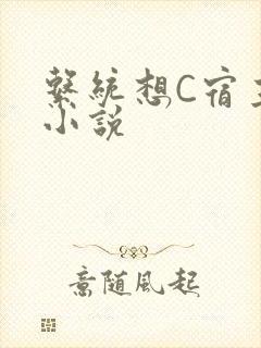 系统想C宿主的小说