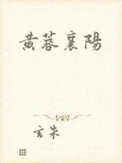 黄蓉襄阳