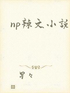 np辣文小说