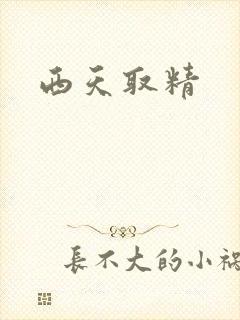 西天取精封面