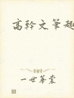 高干文笔趣阁封面