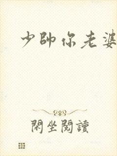 少帅你老婆封面