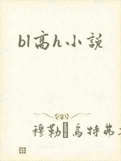 bl高h小说