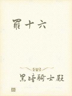 罗十六