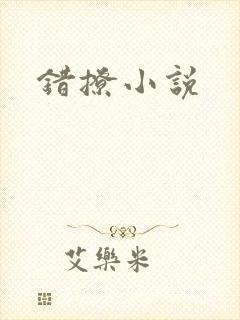 错撩小说