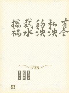 总裁的私有宝贝祸水泱泱全文阅读封面