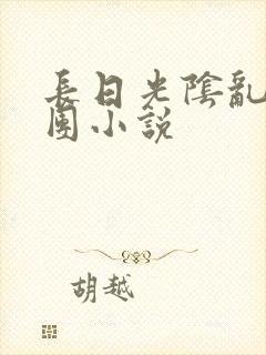 长日光阴乱作一团小说封面