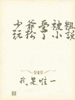 少爷受被粗汉H玩松了小说封面