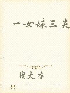 一女嫁三夫封面