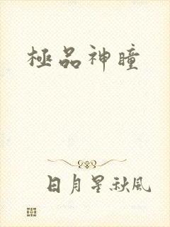 极品神瞳