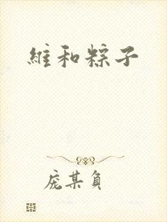 维和粽子