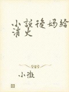 小说后妈给我消消火