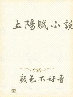 上阳赋小说