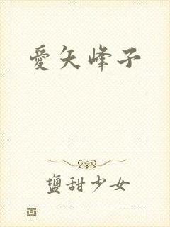 爱矢峰子封面