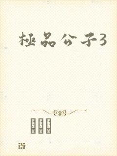 极品公子3