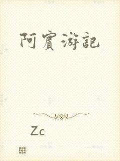 阿宾游记封面