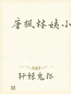 唐枫林姨小说