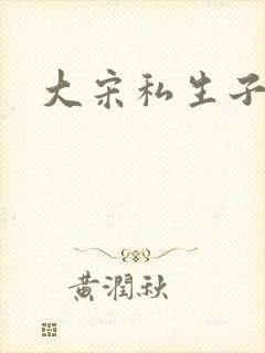 大宋私生子封面