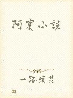 阿宾小说