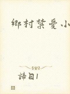 乡村禁爱小说