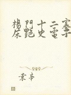 杨门十二寡妇肉床艳史电子书封面