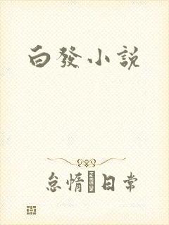 白发小说