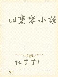 cd变装小说封面