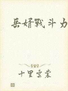 岳婿战斗力
