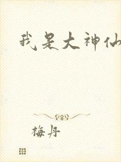 我是大神仙小说封面