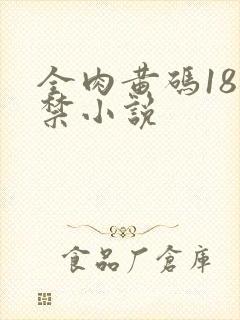 全肉黄码18无禁小说封面
