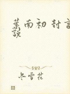 叶南初 封言小说