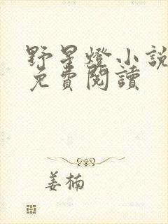 野星灯小说全文免费阅读