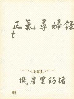 正气寻妇录txt