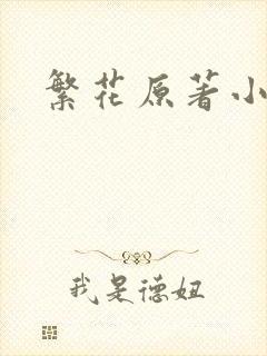 繁花原著小说