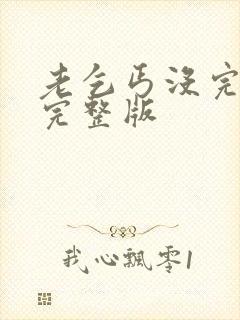 老乞丐没完没了完整版