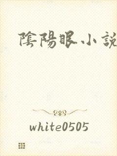 阴阳眼小说