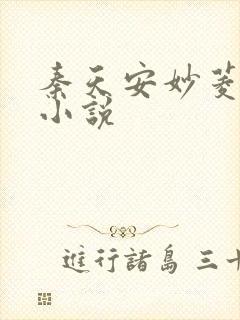 秦天安妙菱修仙小说封面
