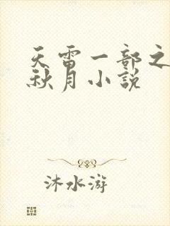 天雷一部之春花秋月小说封面