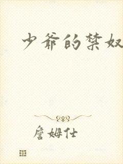 少爷的禁奴