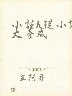 小说h从小做到大养成