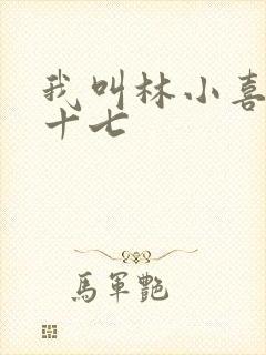 我叫林小喜今年十七封面
