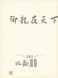 御龙在天下载