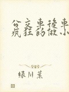 公交车后车座的疯狂的做小封面