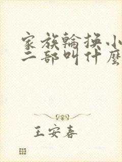 家族轮换小说第二部叫什么名字封面