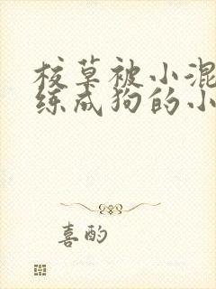 校草被小混混训练成狗的小说封面