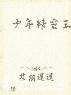 少年精灵王